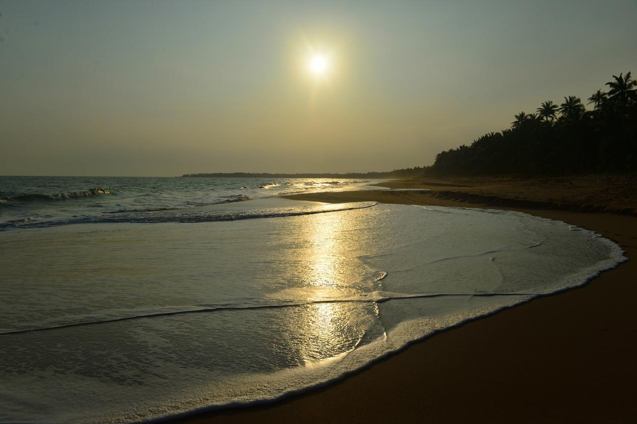 Darwins Beach Resort Tangalle Room photo