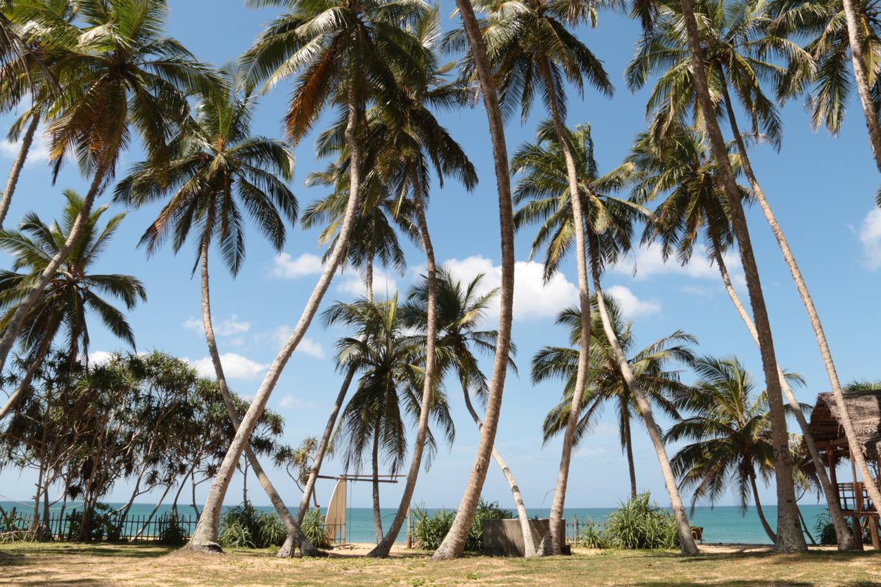 Darwins Beach Resort Tangalle Exterior photo
